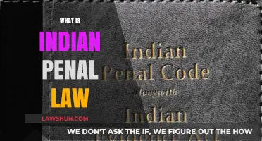 Indian Penal Law: Understanding the Indian Legal System