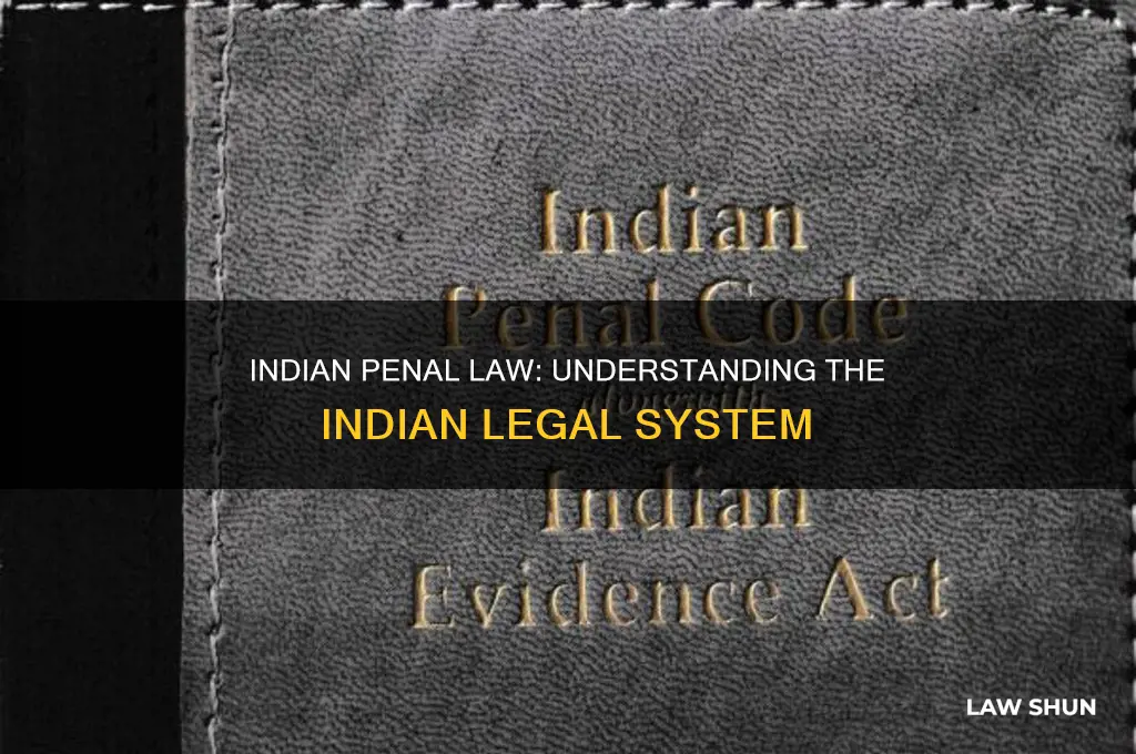 what is indian penal law
