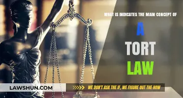 Understanding Tort Law: Key Principles and Core Concepts Explained