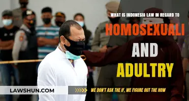 Indonesia's Legal Stance on Homosexuality and Adultery: An Overview