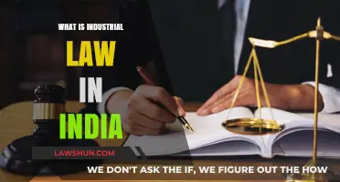 Industrial Law in India: An Overview