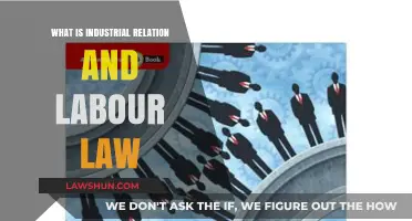 Understanding Industrial Relations and Labour Law: Key Concepts and Practices