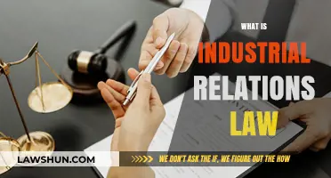 Understanding Industrial Relations Law: Key Principles and Practices Explained