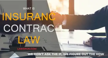 Understanding Insurance Contract Law Basics