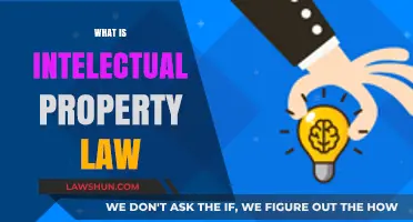 Understanding Intellectual Property Law: Protecting Innovations and Creative Works