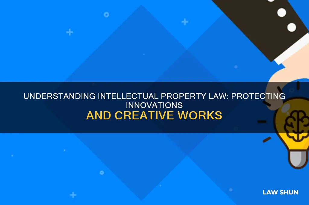 what is intelectual property law