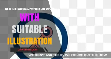 Understanding Intellectual Property Law: Key Concepts and Real-World Examples
