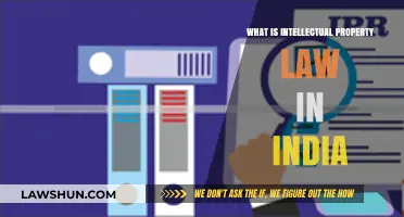 Understanding India's IP Laws