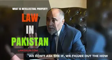 Understanding Intellectual Property Law in Pakistan: Rights, Protection, and Enforcement