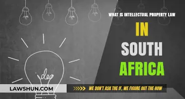 Understanding Intellectual Property Law in South Africa: A Comprehensive Guide