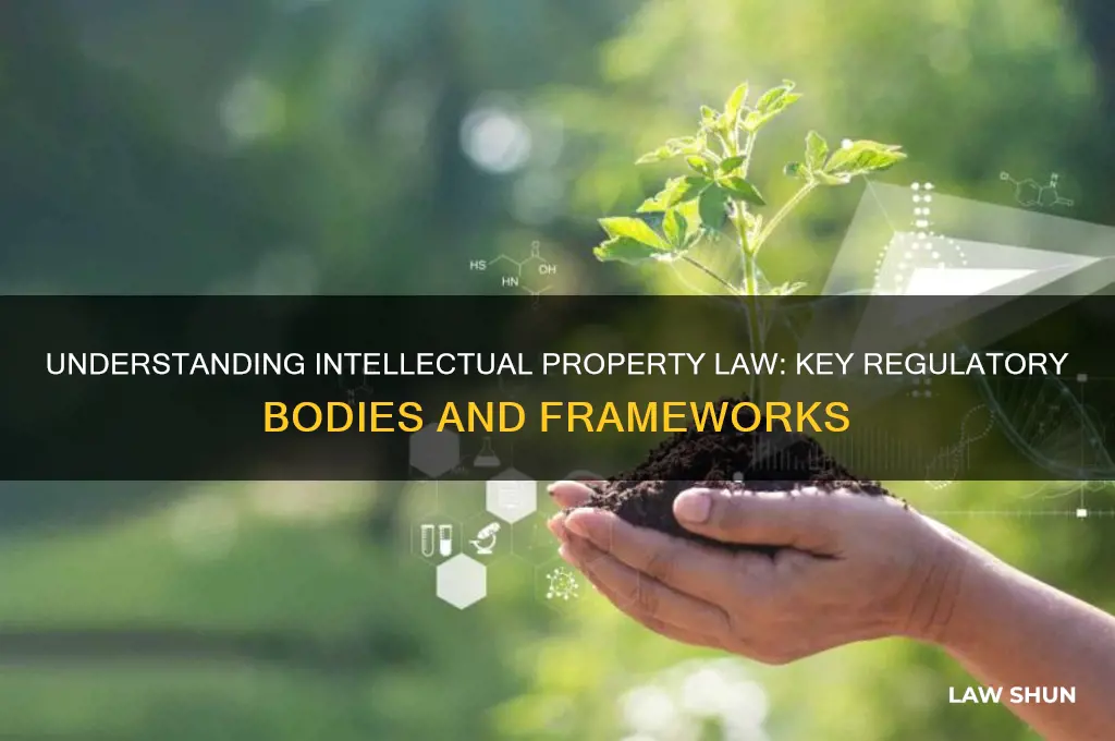 what is intellectual property law regulated by