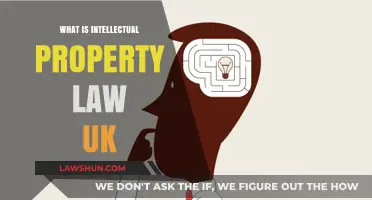 Understanding UK Intellectual Property Law