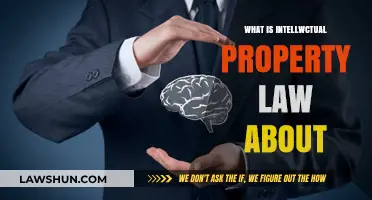 Understanding Intellectual Property Law: Protecting Innovations and Creative Works