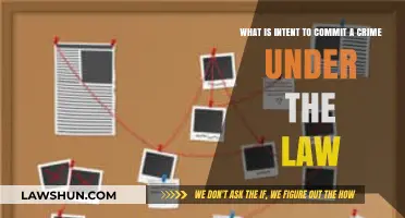 Understanding Intent to Commit a Crime: Legal Definitions and Implications