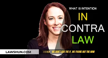 Understanding Intention: The Core of Contract Law