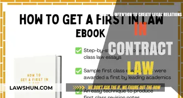 The Legal Intent: Contracts and the Law