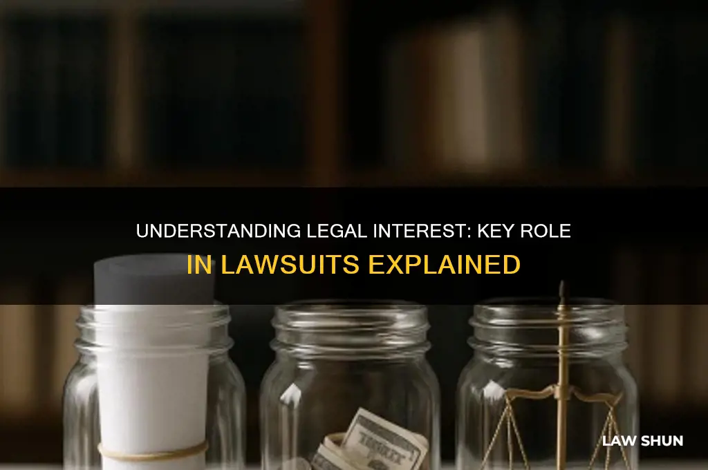 what is interest in a law suit