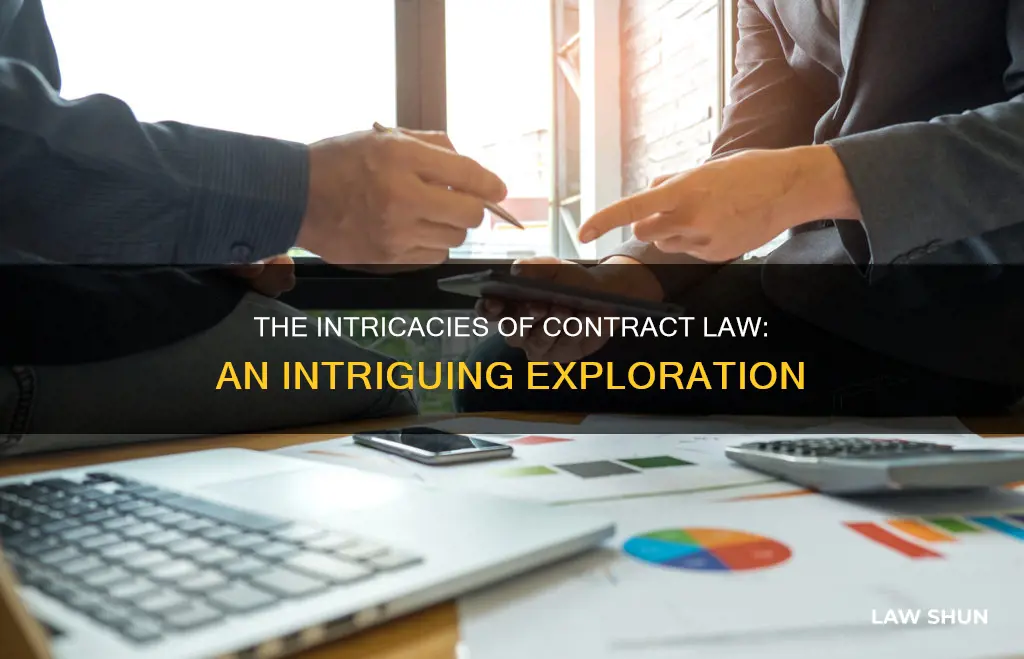 what is interesting about contract law