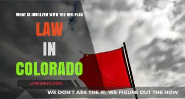 Understanding Colorado's Red Flag Law: Process, Impact, and Implications