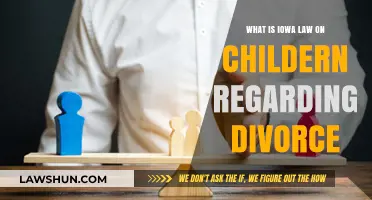 Iowa Divorce Laws: Understanding Child Custody and Support Rights