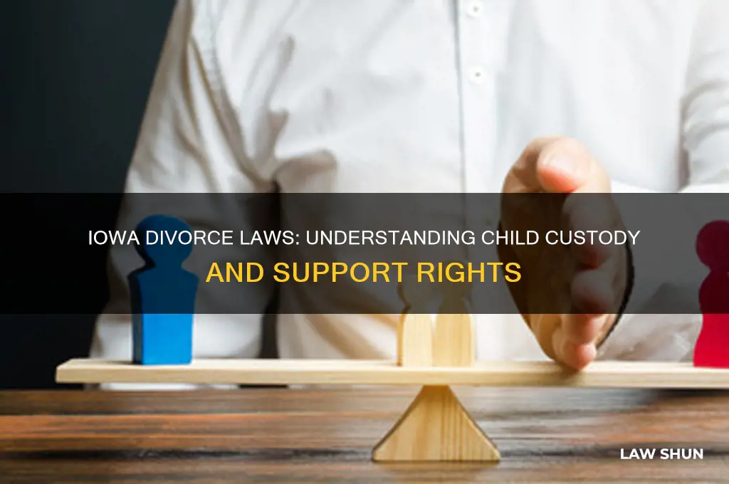 what is iowa law on childern regarding divorce