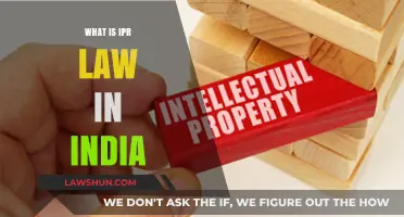 IPR Law: Understanding India's Intellectual Property Rights