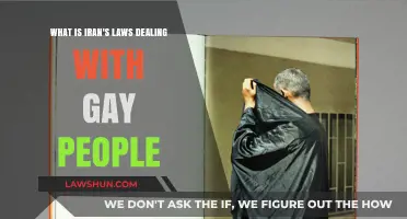 Understanding Iran's Legal Stance on Homosexuality: Rights, Penalties, and Realities