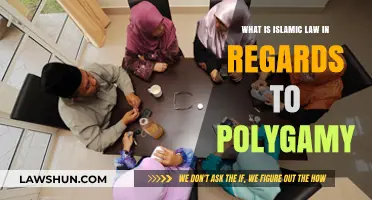 Understanding Polygamy in Islamic Law: Principles, Practices, and Perspectives