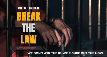 Understanding Crime: Breaking the Law Explained