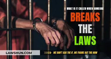 Criminal Acts: Breaking Laws and Legal Consequences