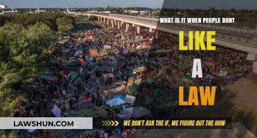Understanding Public Dissent: When Laws Face Societal Rejection and Resistance