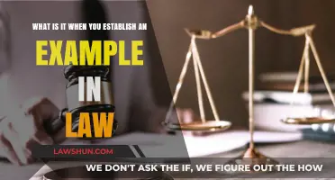 Setting Legal Precedents: Understanding the Power of Establishing Examples in Law
