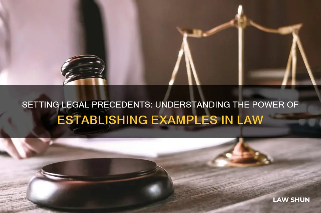 what is it when you establish an example in law