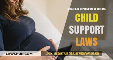 Understanding NY's IV-D Program: Key Aspects of Child Support Laws