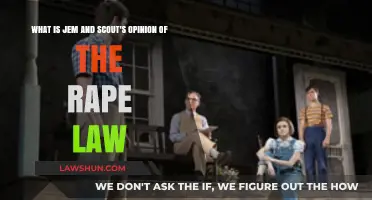 Jem and Scout's Perspective on Maycomb's Rape Law: A Critical Analysis