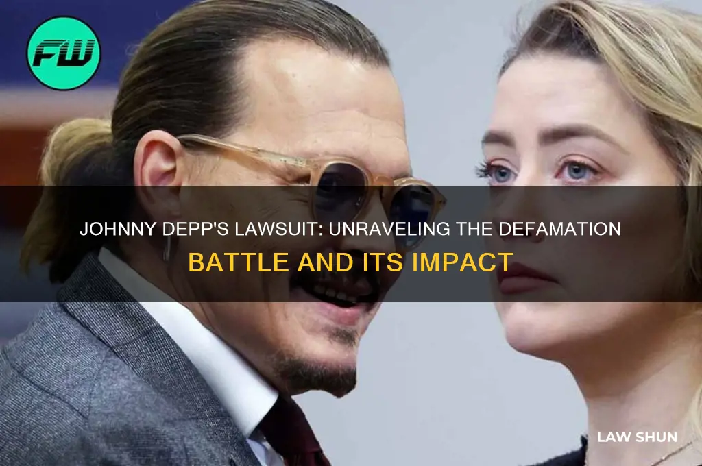 what is johnny depps law suit about