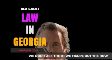 Understanding Joshua's Law: Georgia's Teen Driving Requirements Explained