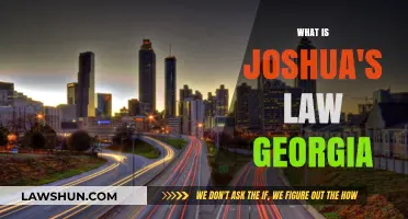 Understanding Joshua's Law: Georgia's Teen Driving Requirements Explained