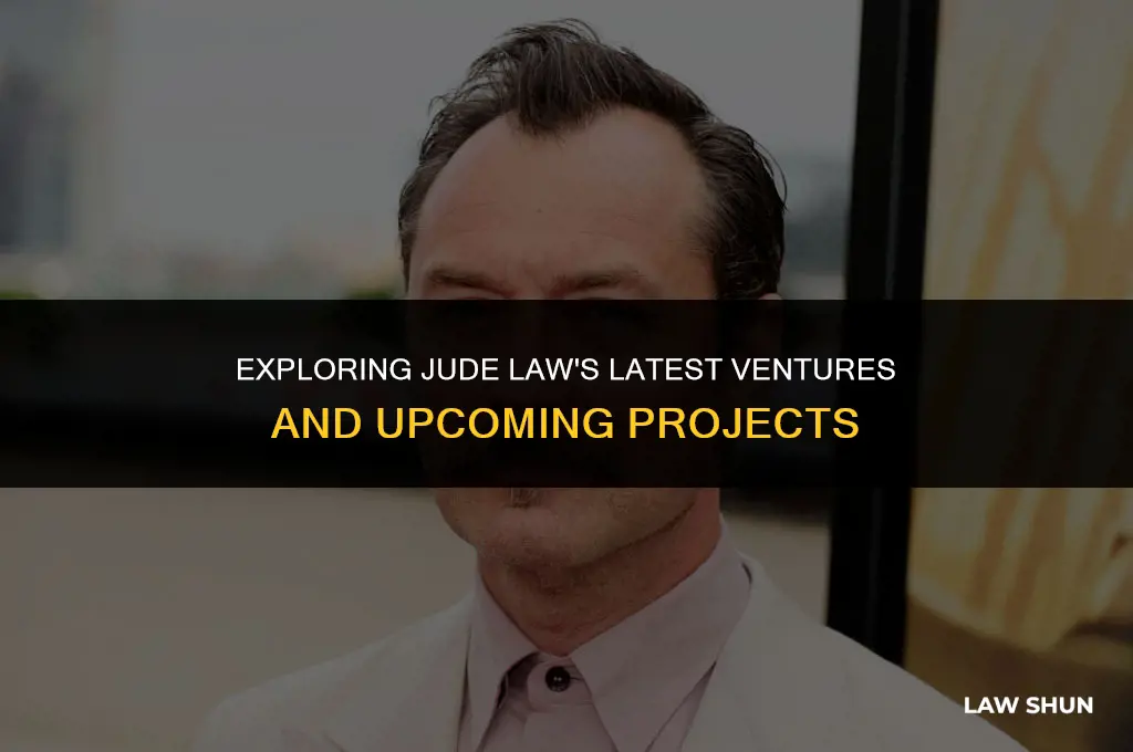 what is jude law doing now