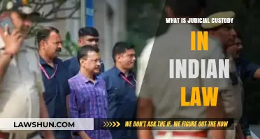 Understanding Judicial Custody in Indian Law