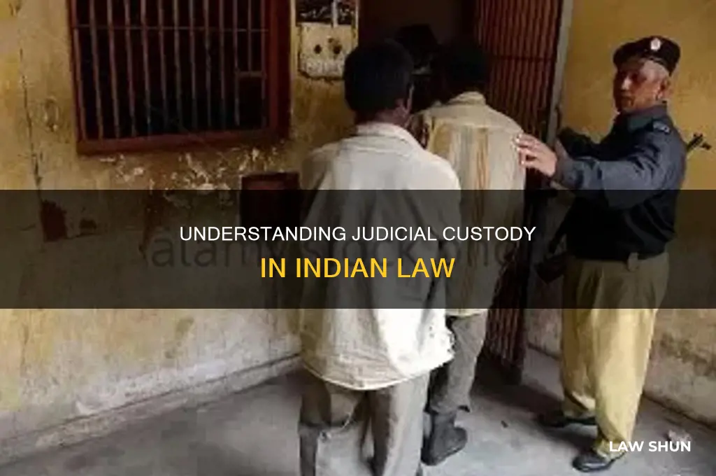 what is judicial custody in indian law