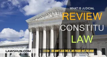 Judicial Review: Constitutional Law Explained