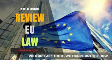 Understanding Judicial Review in EU Law: Powers, Process, and Impact