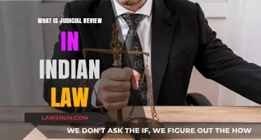 Understanding Judicial Review: A Key Pillar of Indian Law