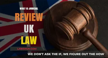 Understanding Judicial Review in UK Law: Powers, Process, and Purpose