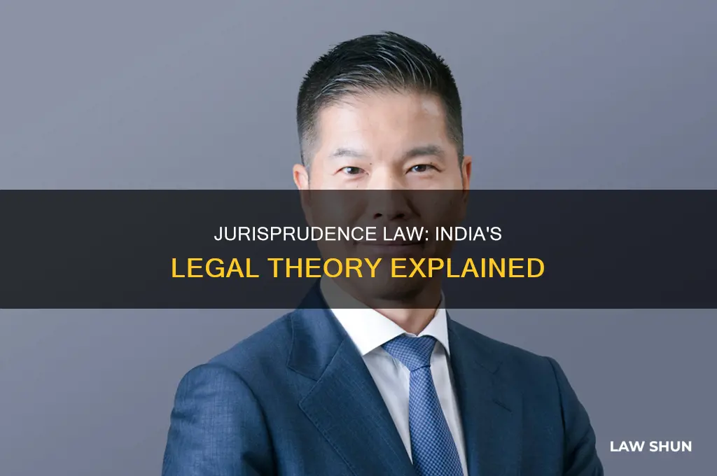 what is jurisprudence law in india