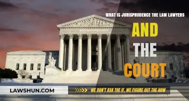 Understanding Jurisprudence: The Law, Lawyers, and Court Systems Explained