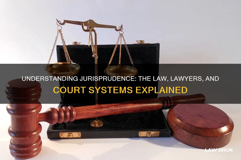what is jurisprudence the law lawyers and the court