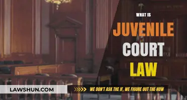 Understanding Juvenile Court Law: A Guide to Youth Justice Systems