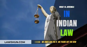 Juvenile Justice: Indian Law's Approach to Minors